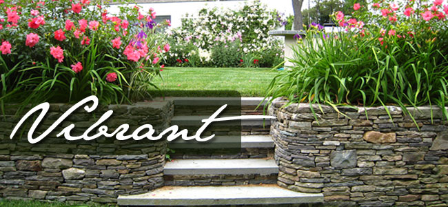 banner-1 Landcape and Hardscape Dacula GA